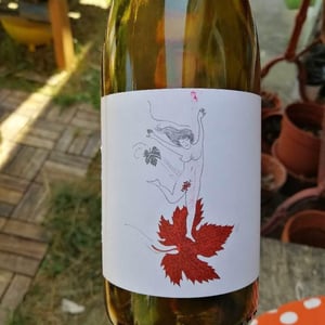 Le Vent Se Lève (Blanc) - Domaine Eole - Hervé Bessiere 