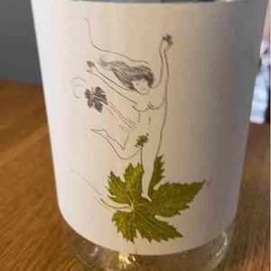 Le Vent Se Lève (Blanc) - Domaine Eole - Hervé Bessiere 