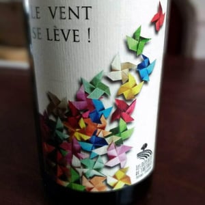 Le Vent se lève ! - Les Déplaude de Tartaras - anne-pierre-andre-deplaude