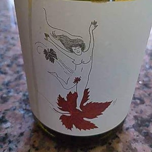 Le Vent Se Lève (Rosé) - Domaine Eole - Hervé Bessiere 