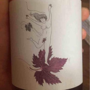 Le Vent Se Lève (Rosé) - Domaine Eole - Hervé Bessiere 