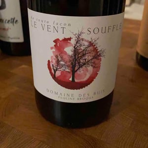 Le Vent Souffle - Domaine des Buis - pauline-broqua