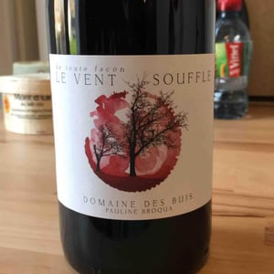 Le Vent Souffle - Domaine des Buis - pauline-broqua