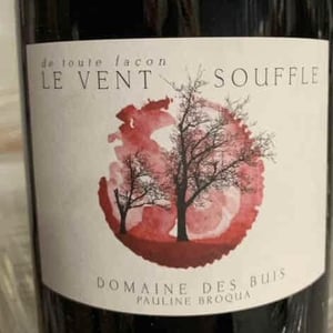 Le Vent Souffle - Domaine des Buis - Pauline Broqua 