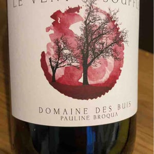 Le Vent Souffle - Domaine des Buis - Pauline Broqua 