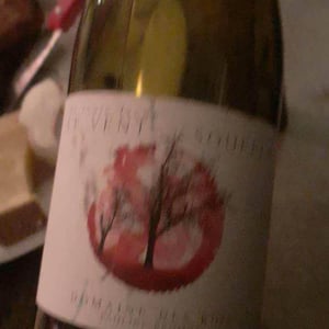 Domaine des Buis - Pauline Broqua - Le Vent Souffle