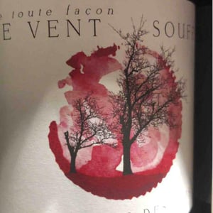 Le Vent Souffle - Domaine des Buis - pauline-broqua