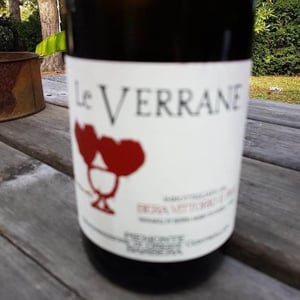 Azienda Agricola Vittorio Bera & Figli - Alessandra e Gianluigi Bera - Le Verrane