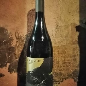 Le Vie Fuille - Stanza Terrena - giuseppe-grasso