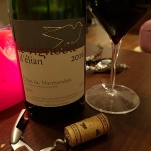 Le Vignoble D'Elian - Elian Da Ros - sandrine-et-elian-da-ros