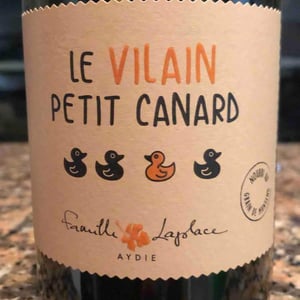 Le Vilain Petit Canard - Château D’aydie - famille-laplace