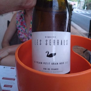 Le Vilain Petit Grain Noir - Les Serrals - Chloé Barthet & Frédéric Almazor 