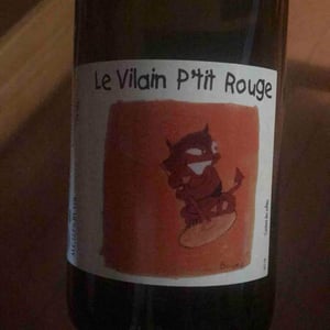 Le Vilain Petit Rouge - Domaine Vincent Ricard - vincent-ricard