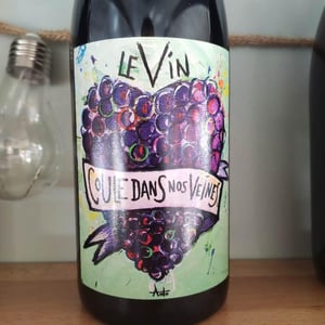 Le Vin Coule Dans Nos Veines - Domaine Giacometti - sarah-simon-giacometti