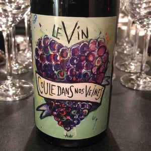 Le Vin Coule Dans Nos Veines - Domaine Giacometti - sarah-simon-giacometti