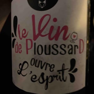 Le Vin de PloussarD ouvre L'esprit