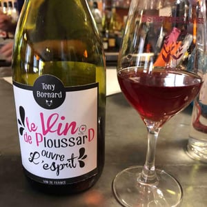 Le Vin de PloussarD ouvre L'esprit - Domaine Bornard - Tony Bornard 
