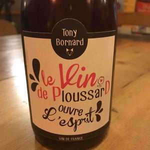 Le Vin de PloussarD ouvre L'esprit - Domaine Bornard - Tony Bornard 