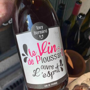 Domaine Bornard - Tony Bornard - Le Vin de PloussarD ouvre L'esprit
