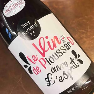 Le Vin de PloussarD ouvre L'esprit - Domaine Bornard - tony-bornard