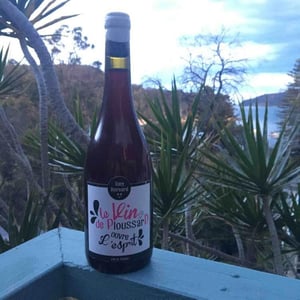 Domaine Bornard - Tony Bornard - Le Vin de PloussarD ouvre L'esprit