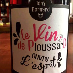 Domaine Bornard - Tony Bornard - Le Vin de PloussarD ouvre L'esprit