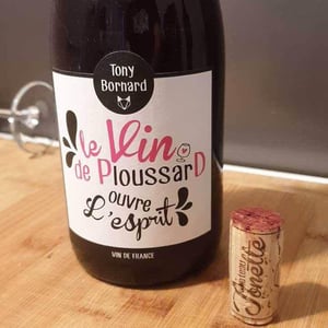 Domaine Bornard - Tony Bornard - Le Vin de PloussarD ouvre L'esprit