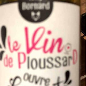 Le Vin de PloussarD ouvre L'esprit - Domaine Bornard - Tony Bornard 
