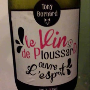 Le Vin de PloussarD ouvre L'esprit - Domaine Bornard - tony-bornard