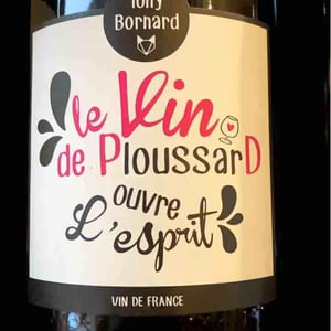 Le Vin de PloussarD ouvre L'esprit - Domaine Bornard - tony-bornard