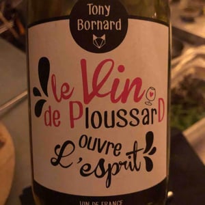 Le Vin de PloussarD ouvre L'esprit - Domaine Bornard - tony-bornard