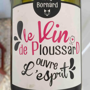Le Vin de PloussarD ouvre L'esprit 2018