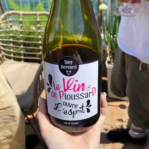 Le Vin de PloussarD ouvre L'esprit - Domaine Bornard - Tony Bornard 