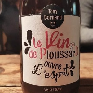 Domaine Bornard - Tony Bornard - Le Vin de PloussarD ouvre L'esprit