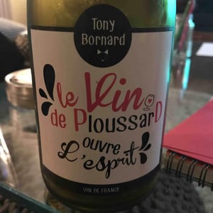 Le Vin de PloussarD ouvre L'esprit