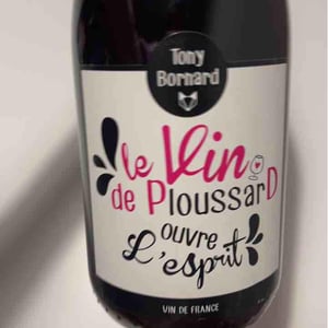 Le Vin de PloussarD ouvre L'esprit - Domaine Bornard - Tony Bornard 