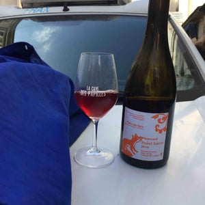 Le Vin de PloussarD ouvre L'esprit - Domaine Bornard - Tony Bornard 