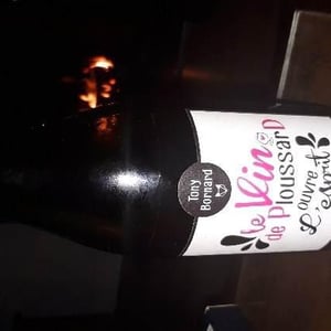 Domaine Bornard - Tony Bornard - Le Vin de PloussarD ouvre L'esprit