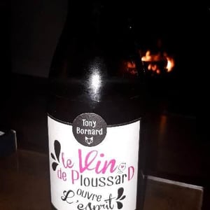 Le Vin de PloussarD ouvre L'esprit