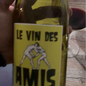 Mas Coutelou - Jean-François Coutelou - Le Vin des Amis