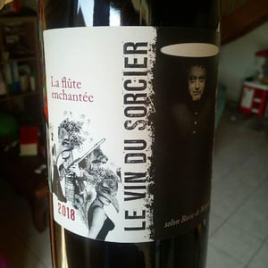 Le Vin Du Sorcier - Domaine Borie de Maurel - michel-escande-ht