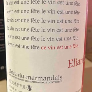 Elian Da Ros - Sandrine et Elian Da Ros - Ce Vin Est Une Fête