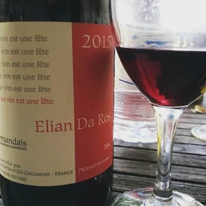Elian Da Ros - Sandrine et Elian Da Ros - Ce Vin Est Une Fête