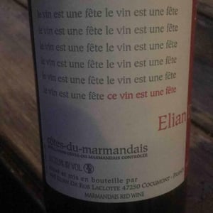 Elian Da Ros - Sandrine et Elian Da Ros - Ce Vin Est Une Fête
