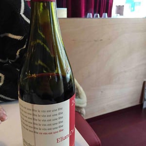 Elian Da Ros - Sandrine et Elian Da Ros - Ce Vin Est Une Fête