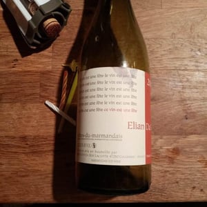 Elian Da Ros - Sandrine et Elian Da Ros - Ce Vin Est Une Fête