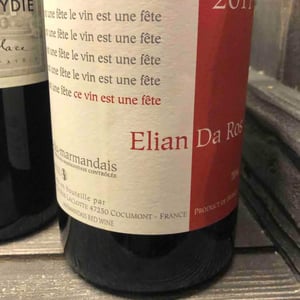 Elian Da Ros - Sandrine et Elian Da Ros - Ce Vin Est Une Fête