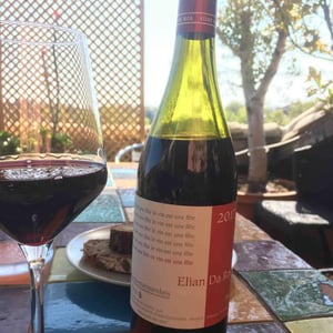Elian Da Ros - Sandrine et Elian Da Ros - Ce Vin Est Une Fête