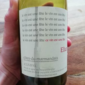 Elian Da Ros - Sandrine et Elian Da Ros - Ce Vin Est Une Fête
