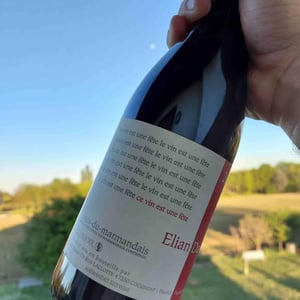 Le Vin Est Une Fête 2017